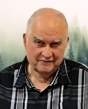 Pauli Niemi