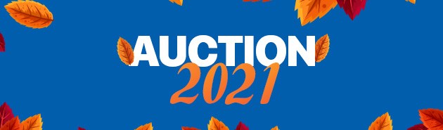 tbnewswatch-Auction-2021-Header