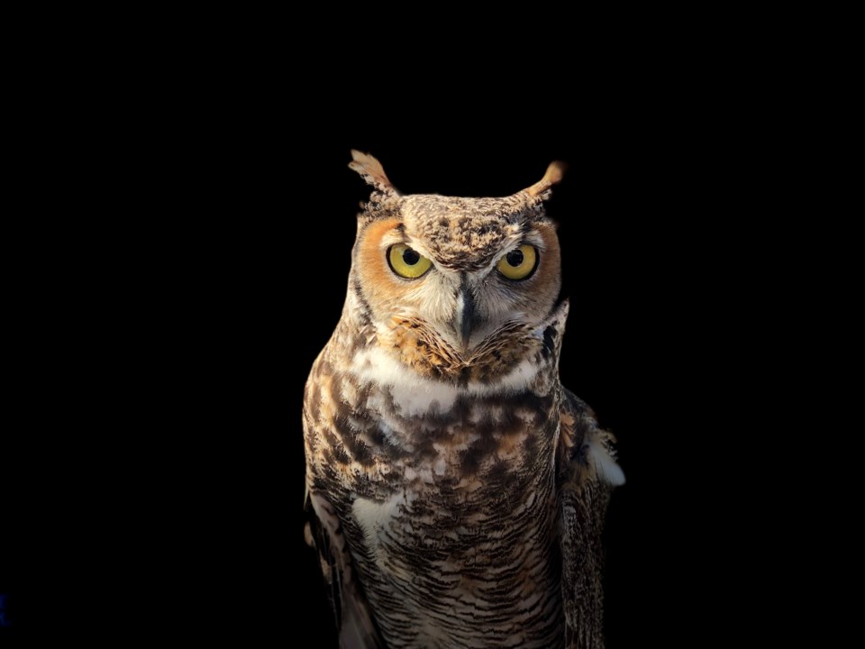james-lee-BMO1SzQHWRs-unsplash