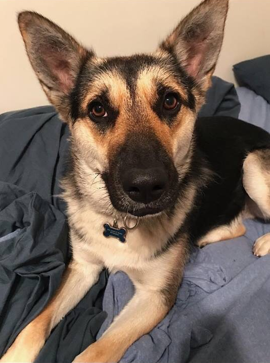 Tucker
