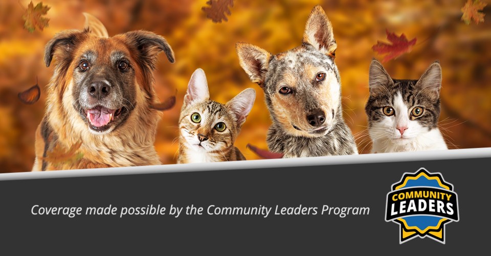 community-leaders-pets-and-animals-header-no-logo