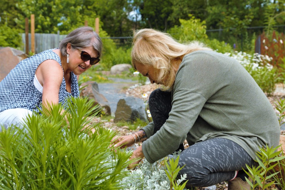 Cynthia Bujold and Leola Palmer work in the Adelaide Monarch Garden. (Ian Kaufman, TBnewswatch)