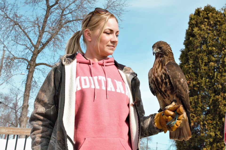 Thunderbird Wildlife Rescue Jenn Salo