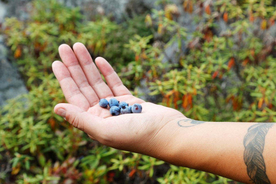 Blueberries
