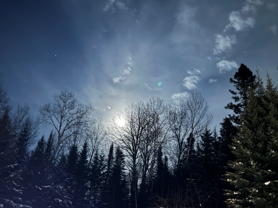 241216_tracyortgiese_tx_sn