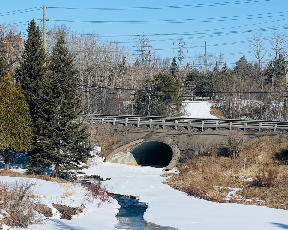 250408_tx_bruce-pynn_sn