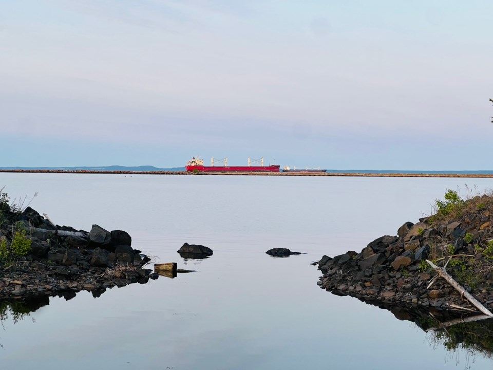 250616_tt_bruce-pynn2_tb