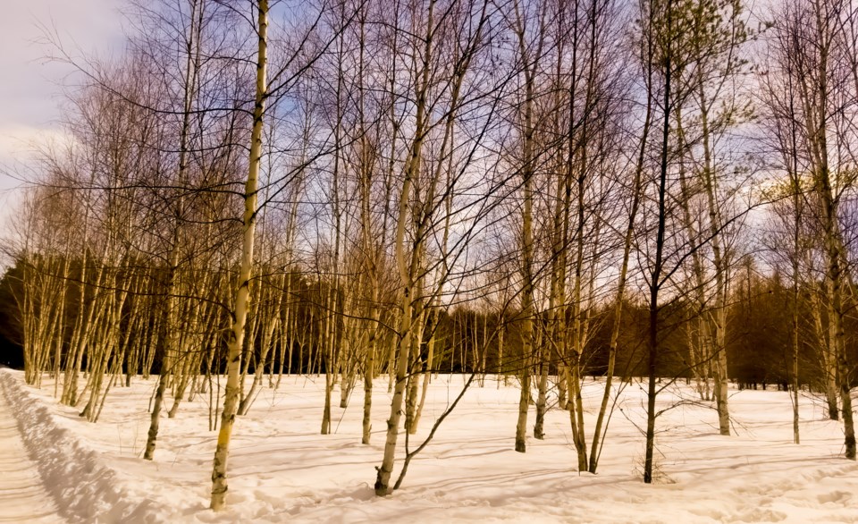 20180325_134625