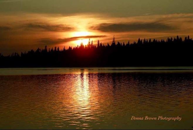 donna8095-1
