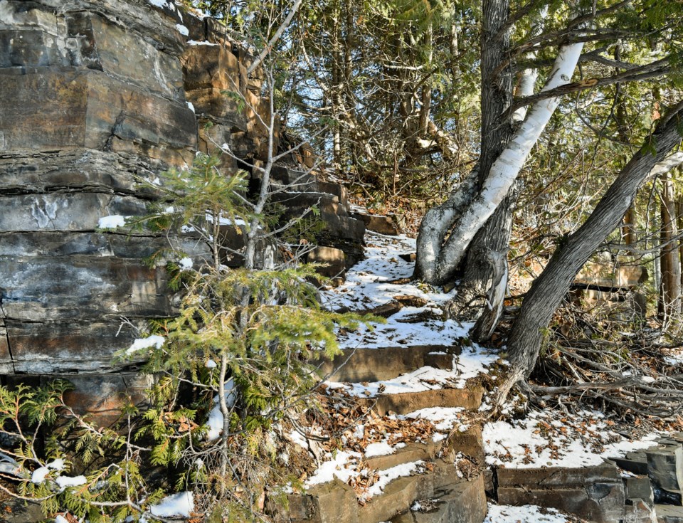 Forrest Incline