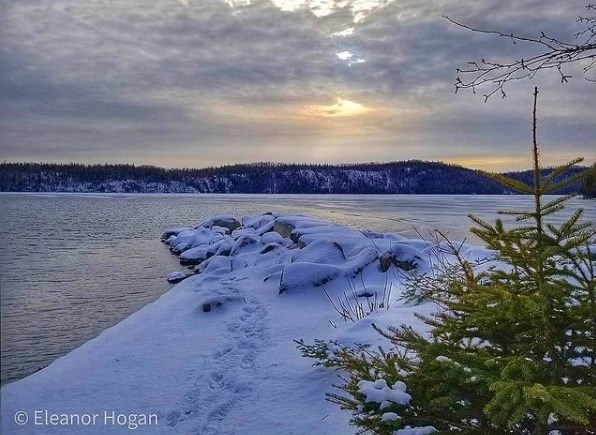 elliehogan320201223