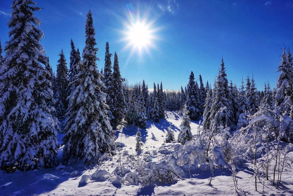 lisafthunderbay-1546779585067