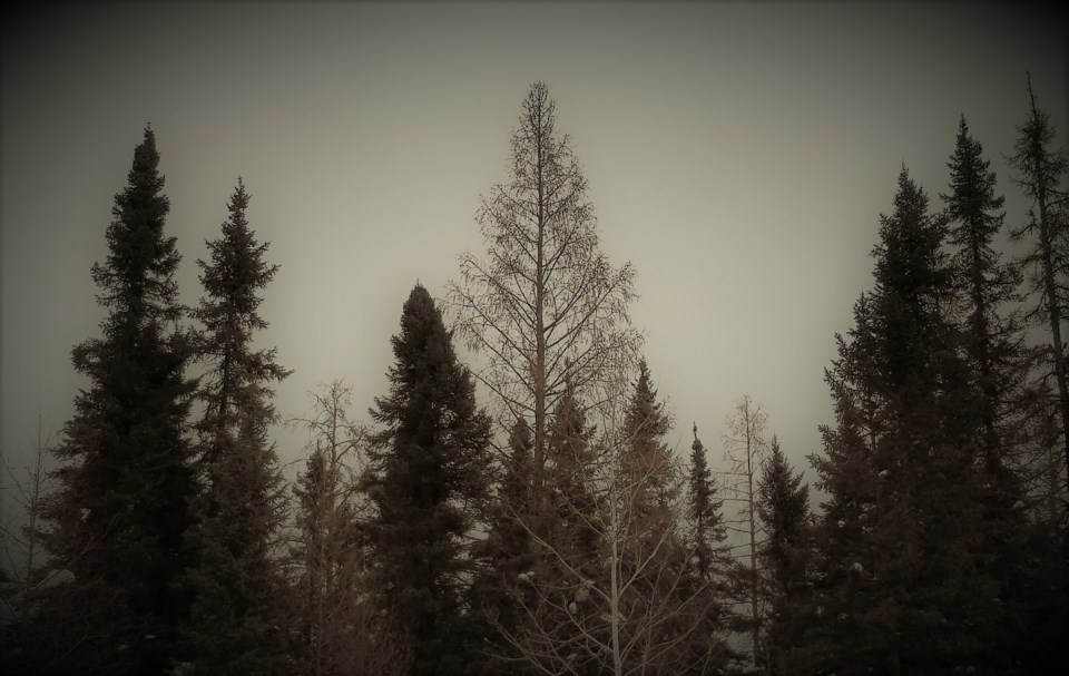 20191229_153018