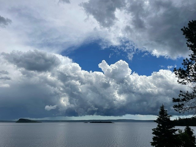 lynn-howe-june-15
