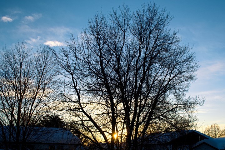 DSC_2347 (Small)