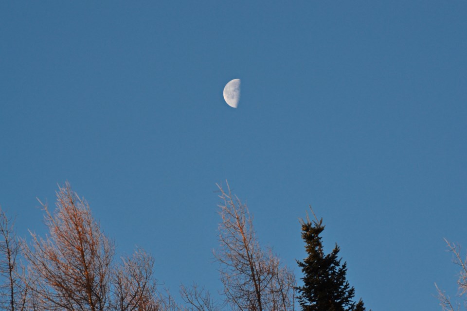 DSC_2731-1