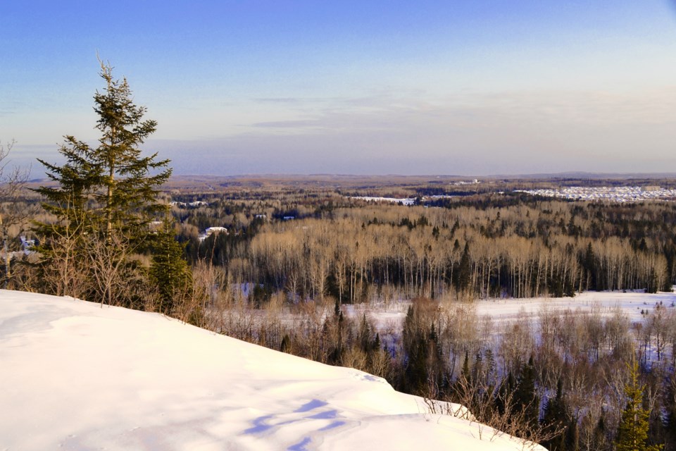 DSC_2967-1