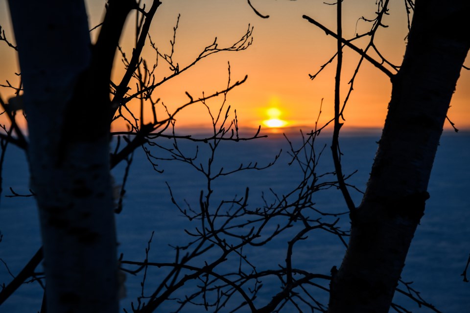 _DSC1791-3
