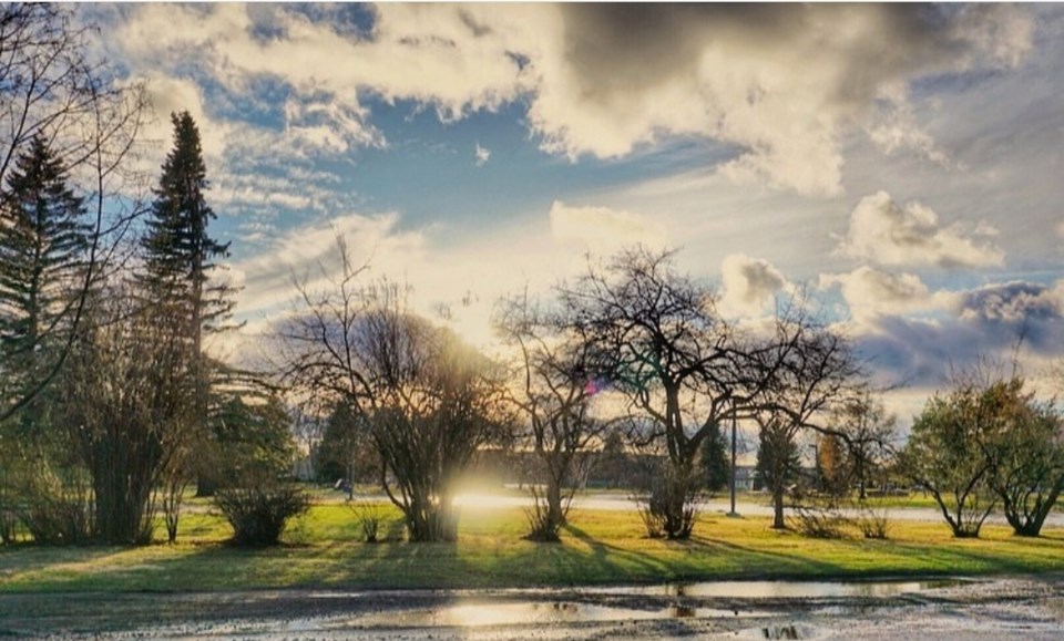 Screenshot_20190604-063646_Instagram