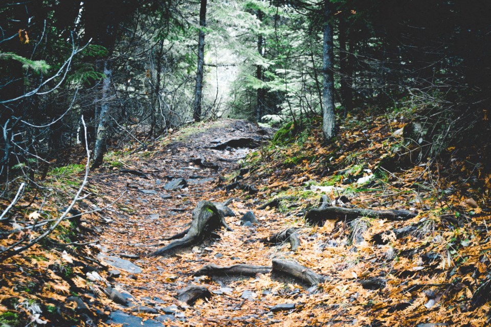 DSC_1026_edited