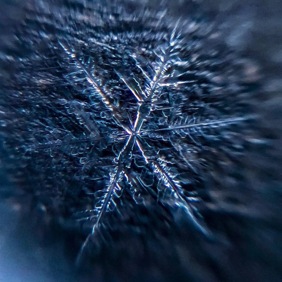 northernexposurebyjr-1543406378717