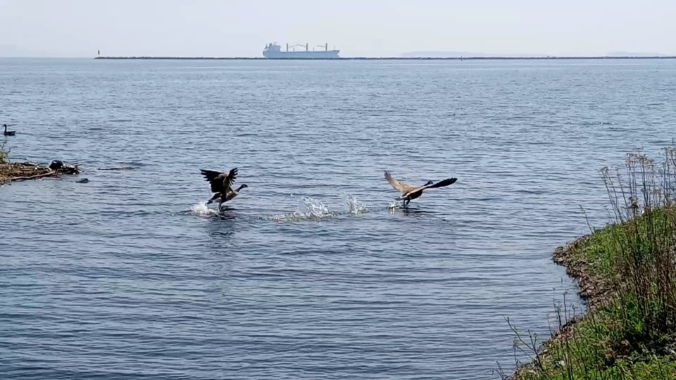 vid_20230602_131339436_exported_30