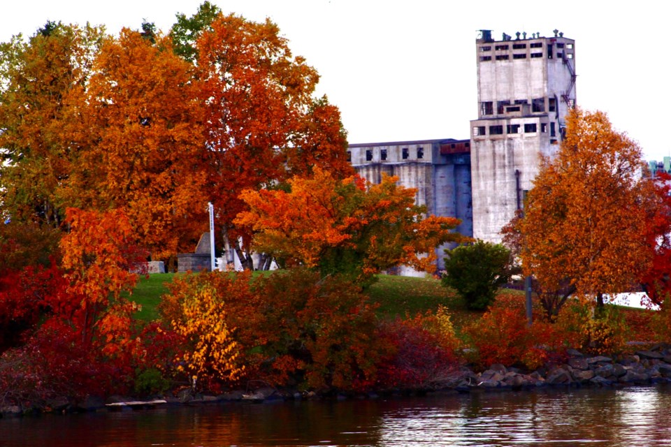 Fall Colours