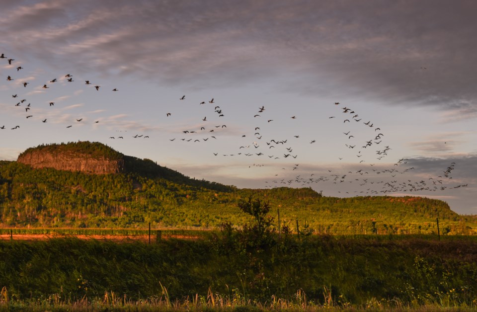 Birds Mountain