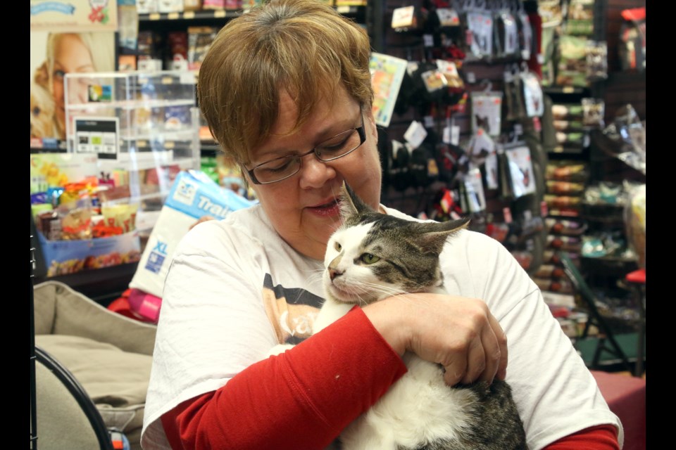 Michelle Gagnon, founder of Caring Hearts Cat Rescue, along with Jinx, during the adoption fair on Saturday at Pet Value on Arthur Street. 