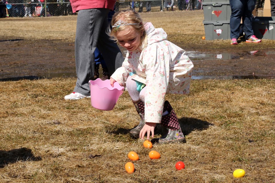 Kiera Duclos, 6, collects eggs on Friday, April 14, 2017 at the annual East End Easter Egg hunt at Frank Charry Park (Leith Dunick, tbnewswatch.com). 
