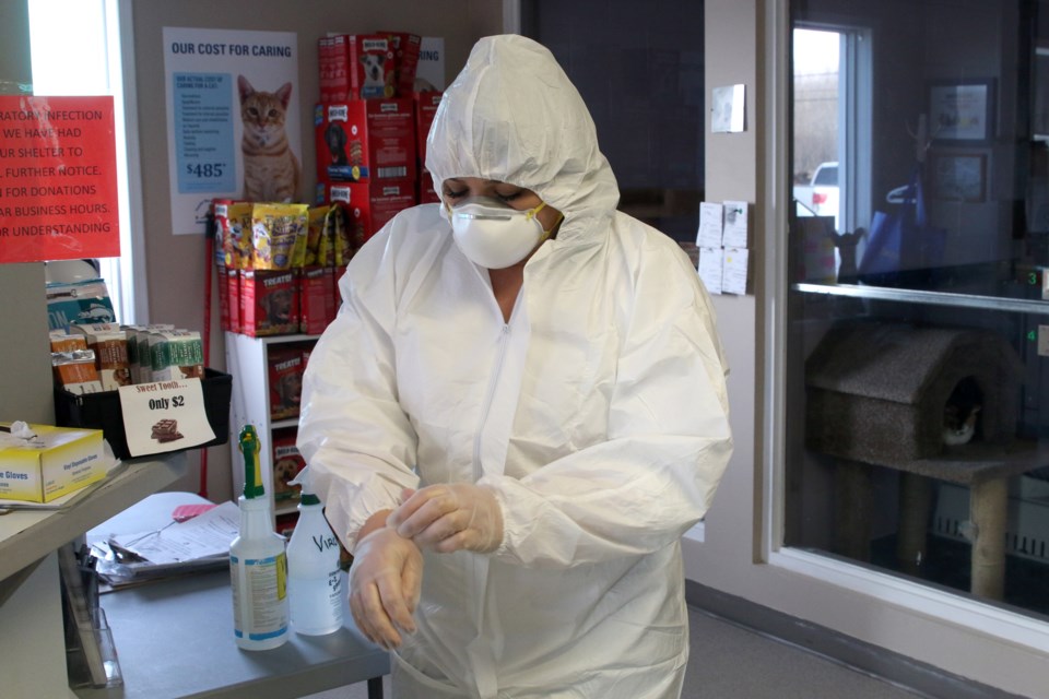 Staff at the Thunder Bay District Humane Society wear protective clothing while sterilizing the entire facility following a respiratory outbreak. 