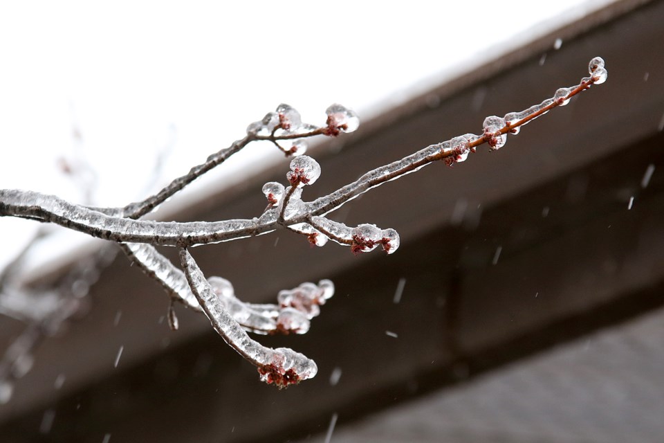 Freezing Rain