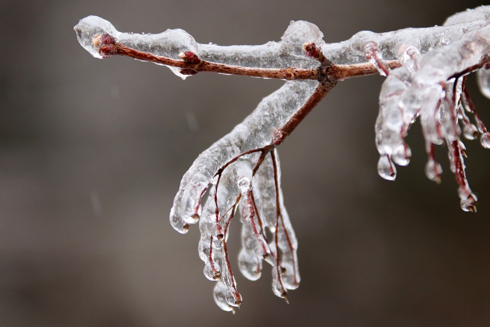 Ice Storm 2017 3