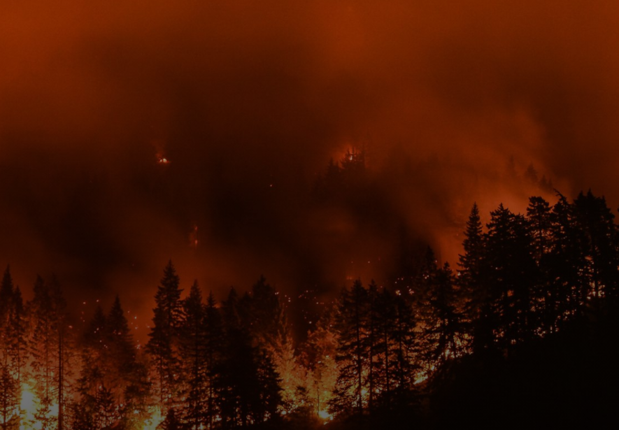 10 new confirmed fires in northeast region Sunday evening. Heavy smoke