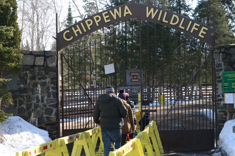 Chippewa Zoo 2