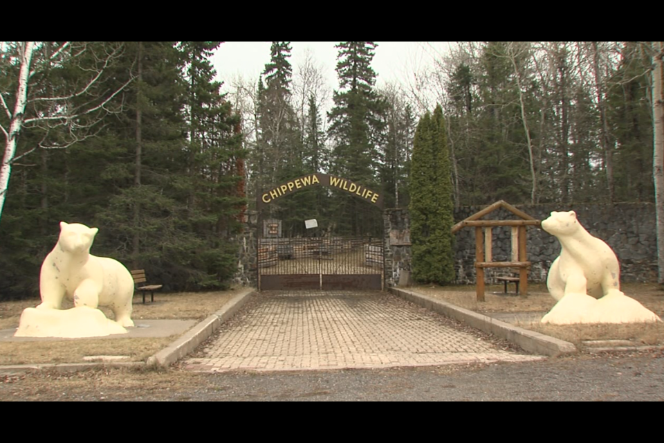 The City of Thunder Bay decided to close the Chippewa Park wildlife exhibit in 2017