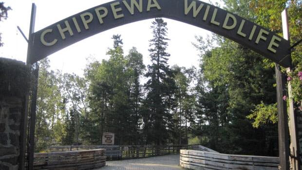 Chippewa-Park-Facebook