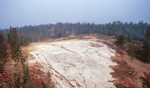 The Separation Rapids lithium deposit