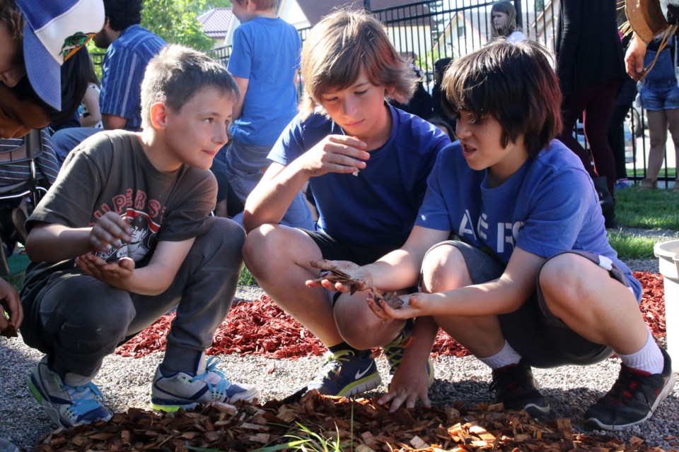 Alex Lucas (left), Colton Gilbart, and Lucas Pasciulo laying down the final wood chips in the school's garden. (Michael Charlebois, tbnewswatch.com).