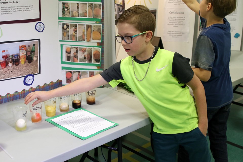 Caleb Blain, 9, demonstrates the damage sugary drinks have on people's teeth, using eggs as a substitute. 