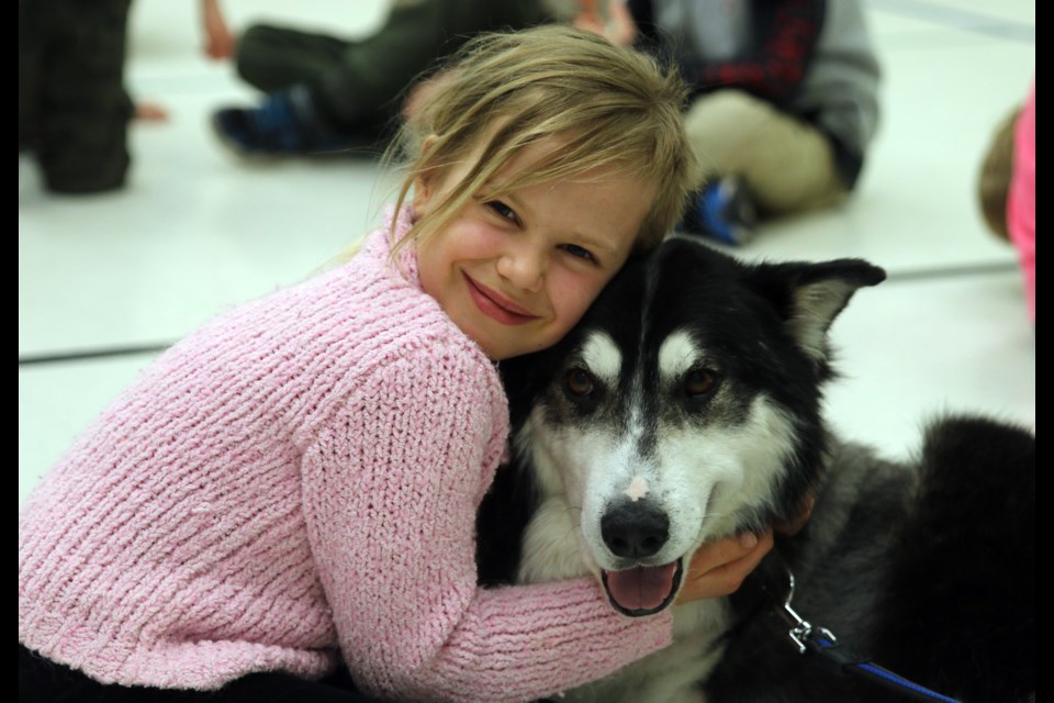 Clare Sunila gives a hug to Buddy, a bit of a celebratory from Paws for Love Dog Rescue, during a visit to Ecole Gron Morgan on Tuesday.  