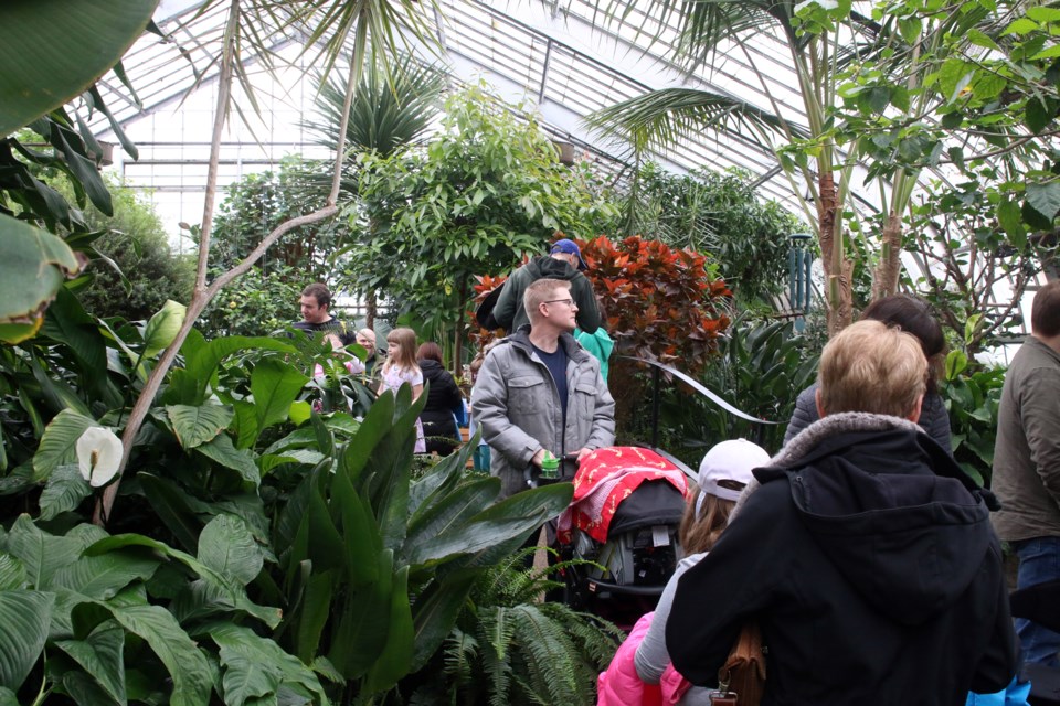 The Centennial Botanical Conservatory will be closed through 2023 if council approves the next step of its renovation, the city announced on Friday. (TBnewswatch file photograph)