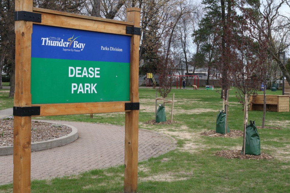 The City of Thunder Bay will recommend redevelopment of Dease Park in the 2021 budget. (File photo)