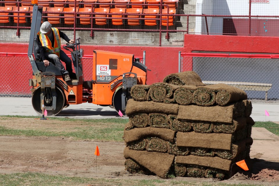 Port Arthur Stadium Sod