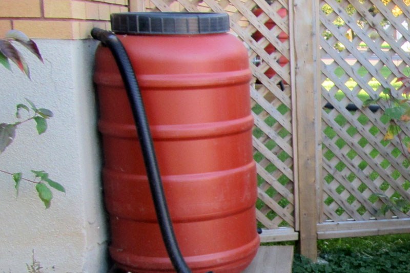 terracotta rain barrel