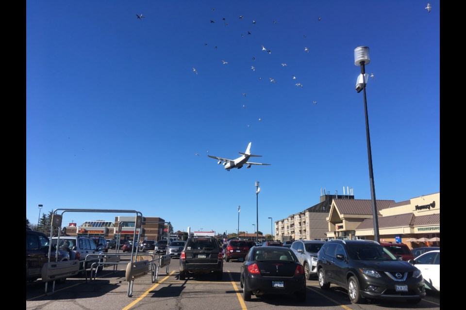 Gulls take flight as an Antonov cargo plane roars over the Arthur St./Edward St. intersection