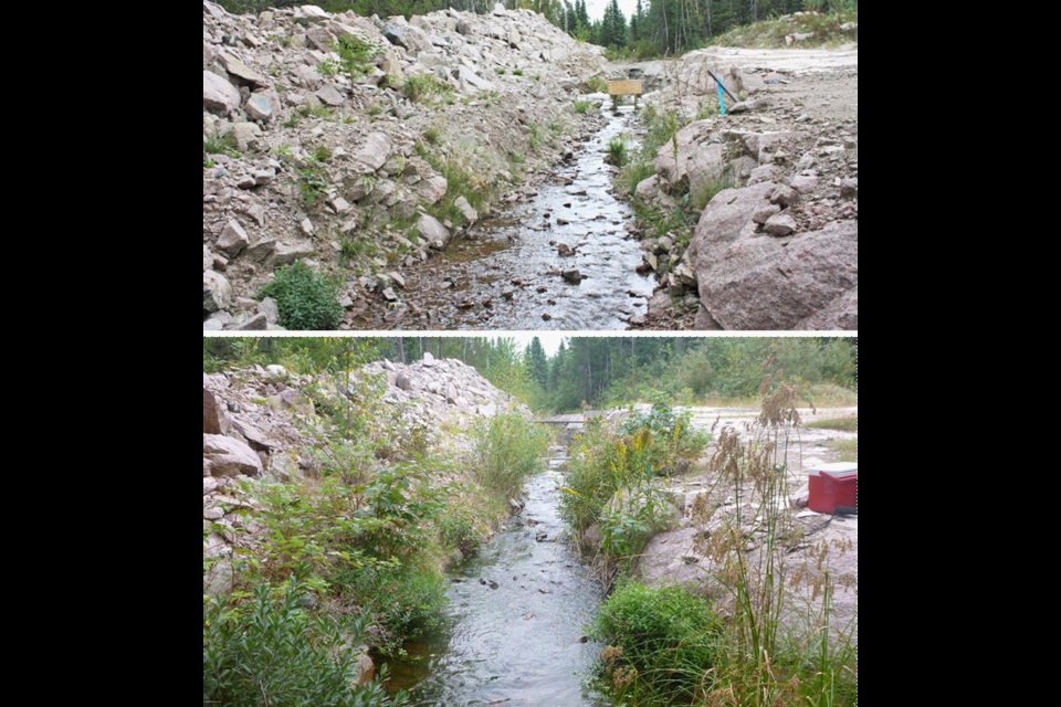 Photos taken in 2012 (top) and 2015 (bottom) show how vegetation along the stream developed in a relatively short period (IISD/ELA photos)