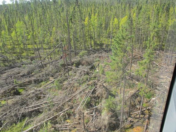 The Sakwite Prescribed Burn in the Fort Frances District aims to burn off storm-damaged forests. (MNR photo). 
