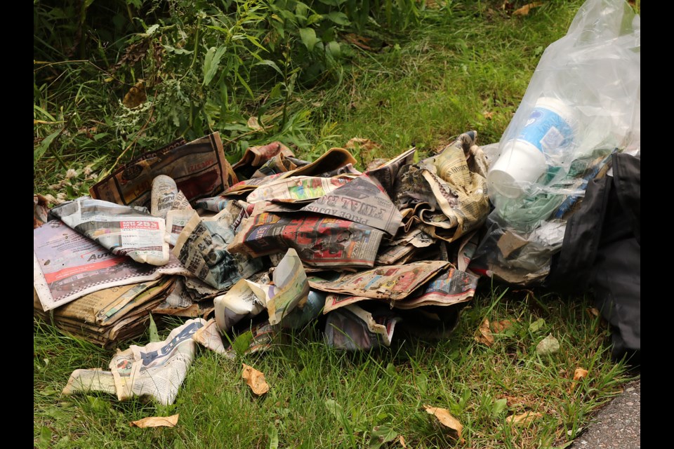 Discarded newspaper flyers were found in the woods alongside a County Park pathway on Thursday, Sept. 7, 2017 (Leith Dunick, tbnewswatch.com). 