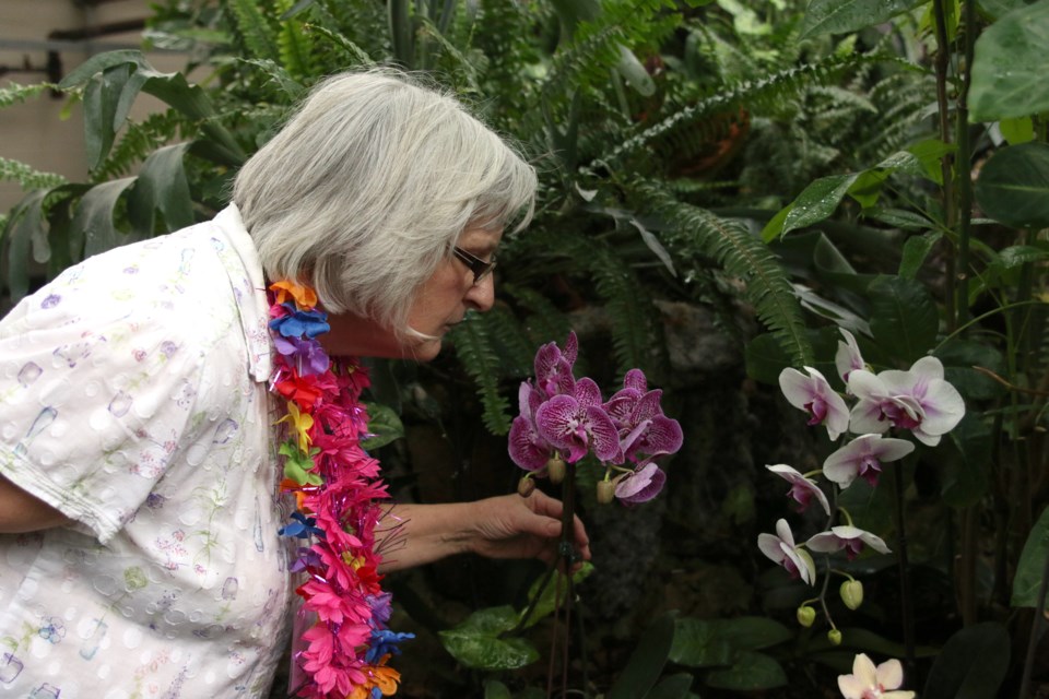 Marilyn Stinson, volunteer coordinator with the Friends of the Thunder Bay Conservatory, enjoys some tropical aromas during an Afternoon in the Tropics on Sunday. 